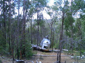 Beautiful Betsy Walk - Attractions Brisbane 0
